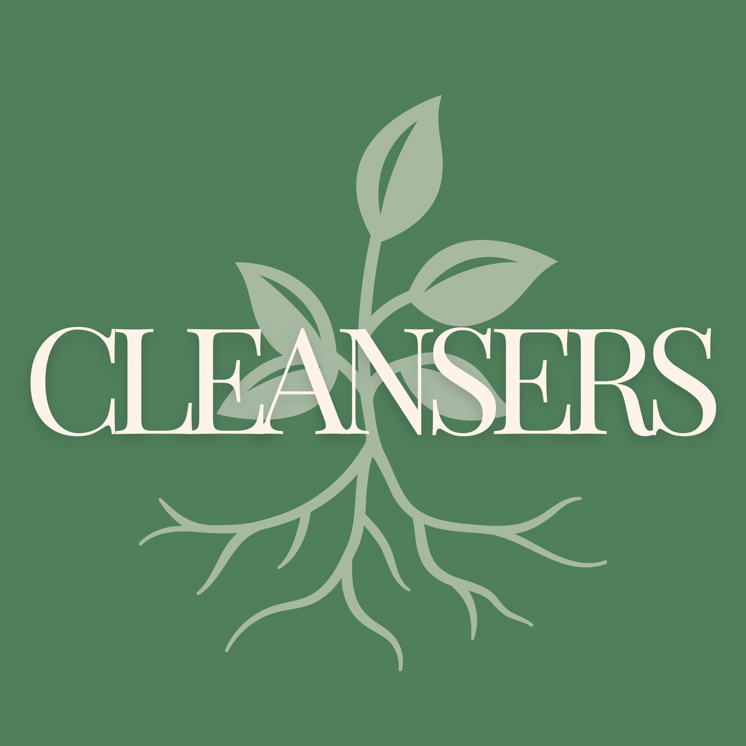 CLEANSERS